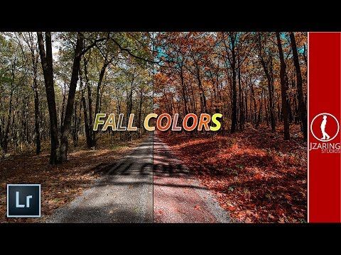 Maximizing Fall Colors- Photographing and Editing in Lightroom