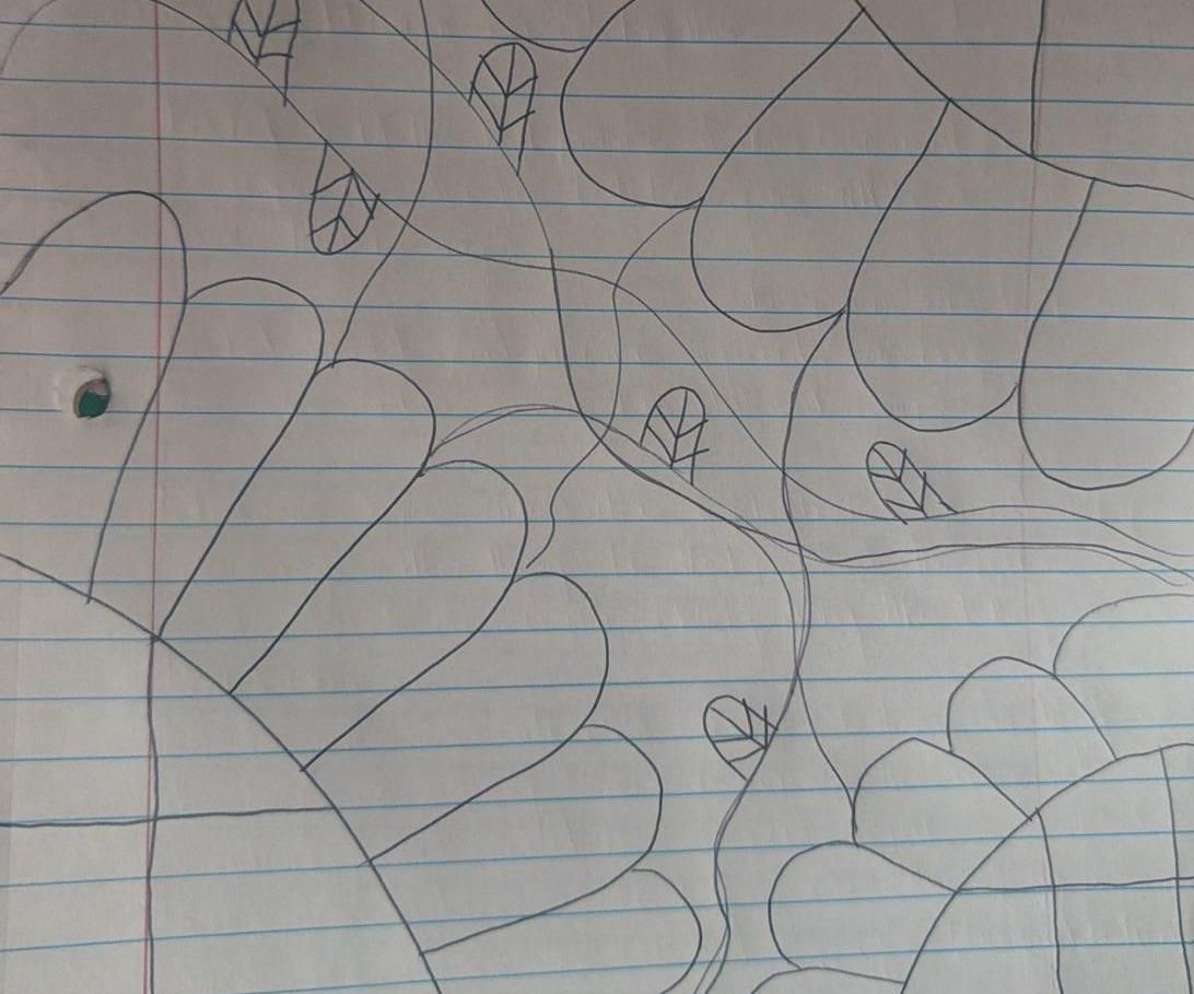 Drawn Flowers
