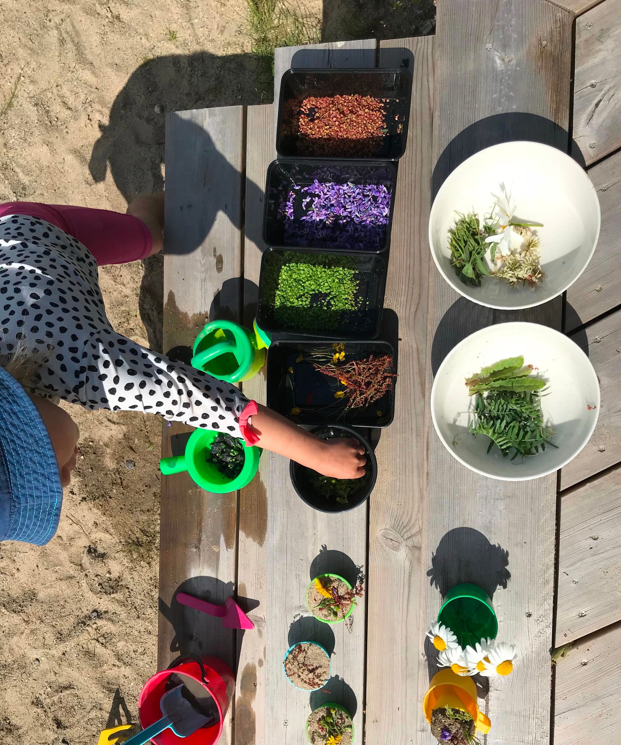 Exploring Nature, Creating and Decorating Fabulous Cakes!