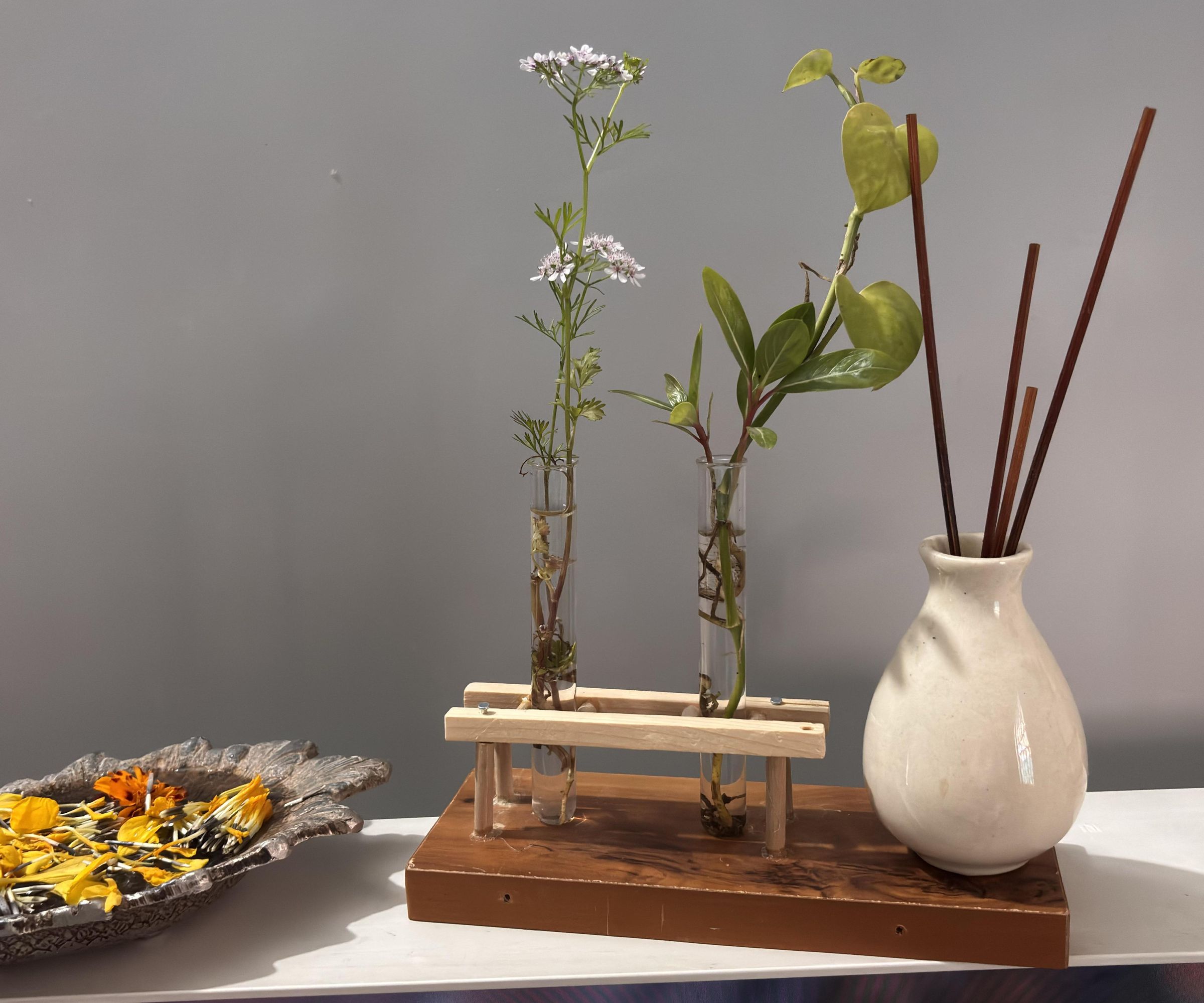 Decorative Plant Terrarium