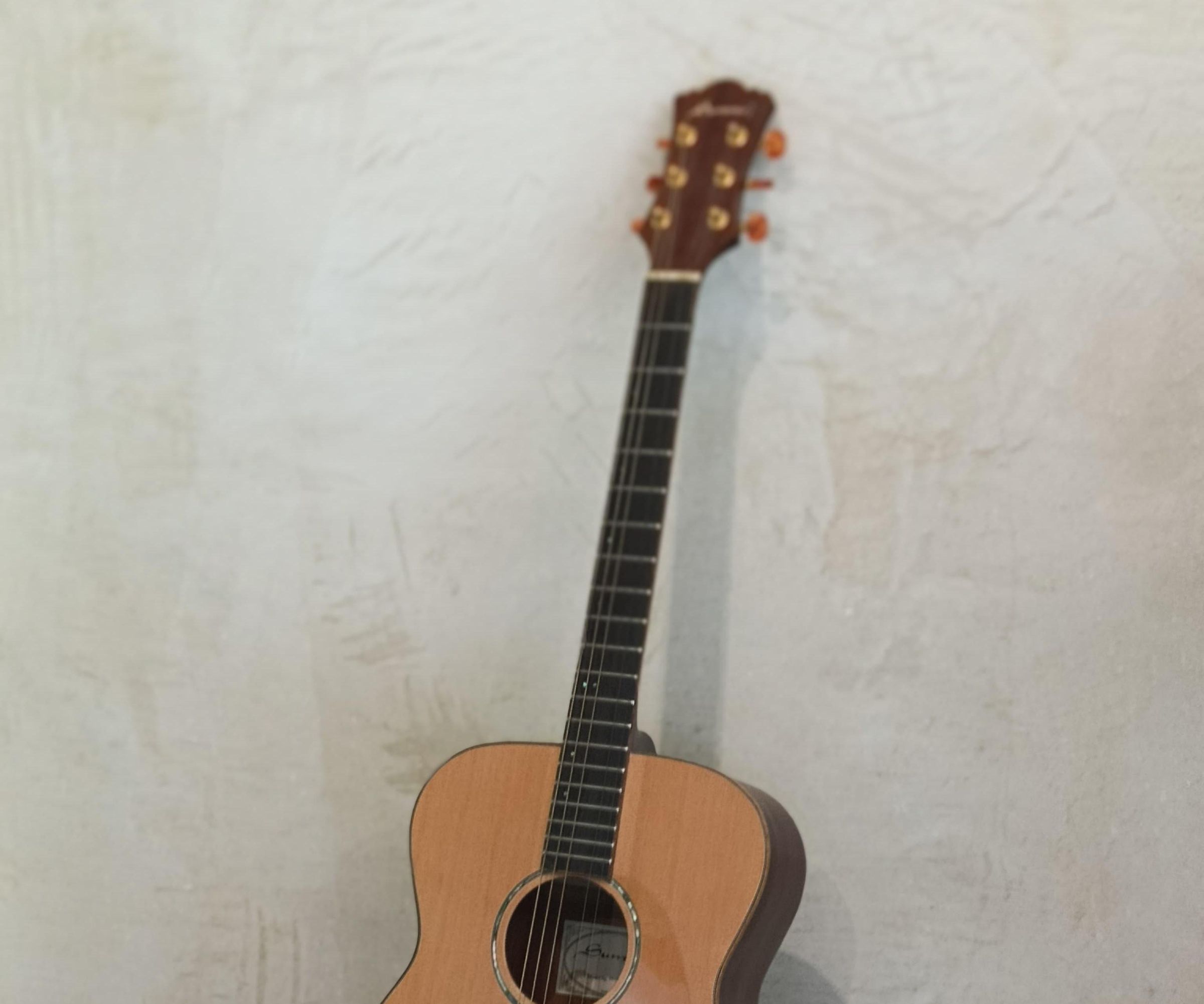 Smart Guitar Using Capacative Touch With Build-in Metronome.