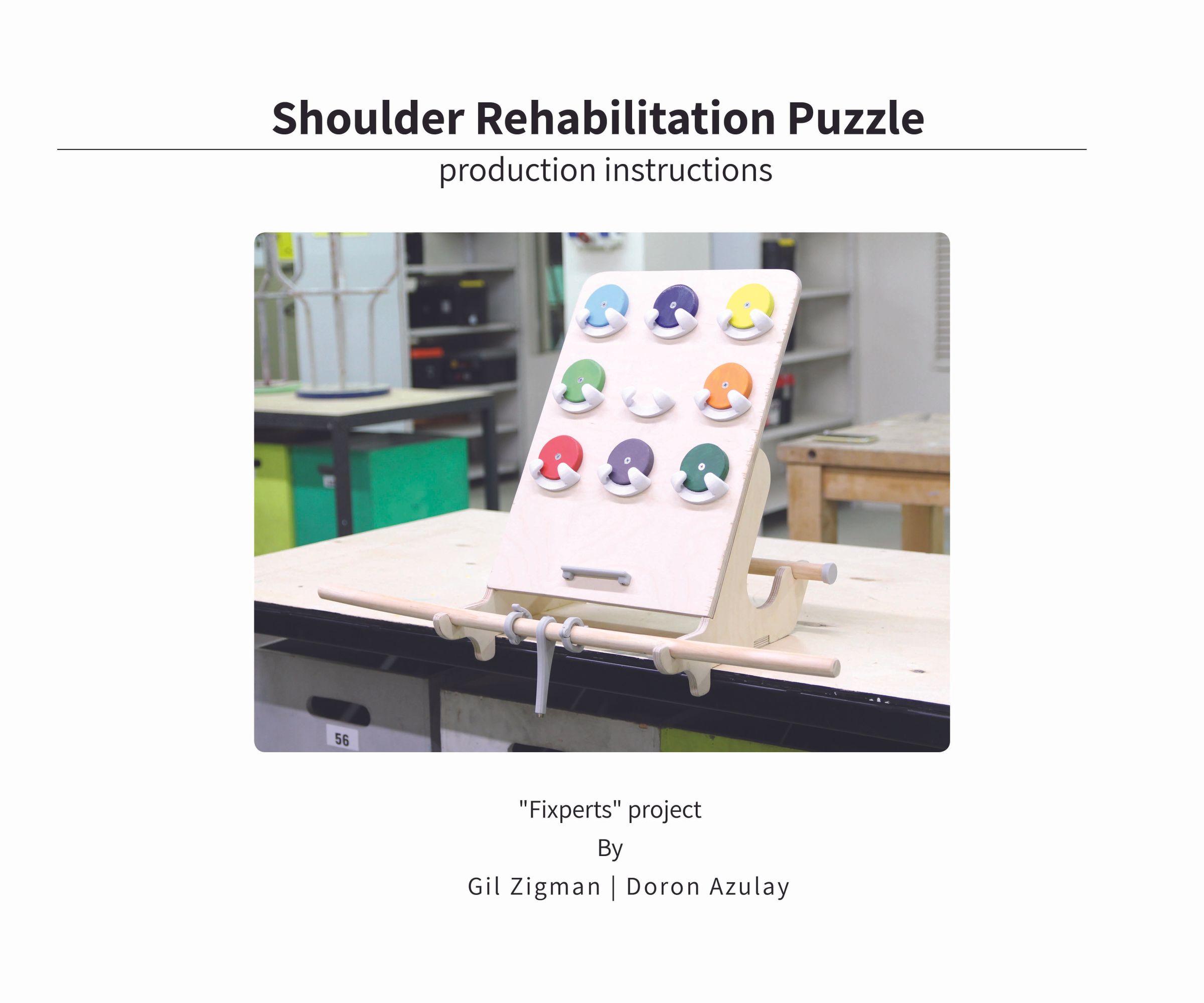 Shoulder Rehabilitation Puzzle