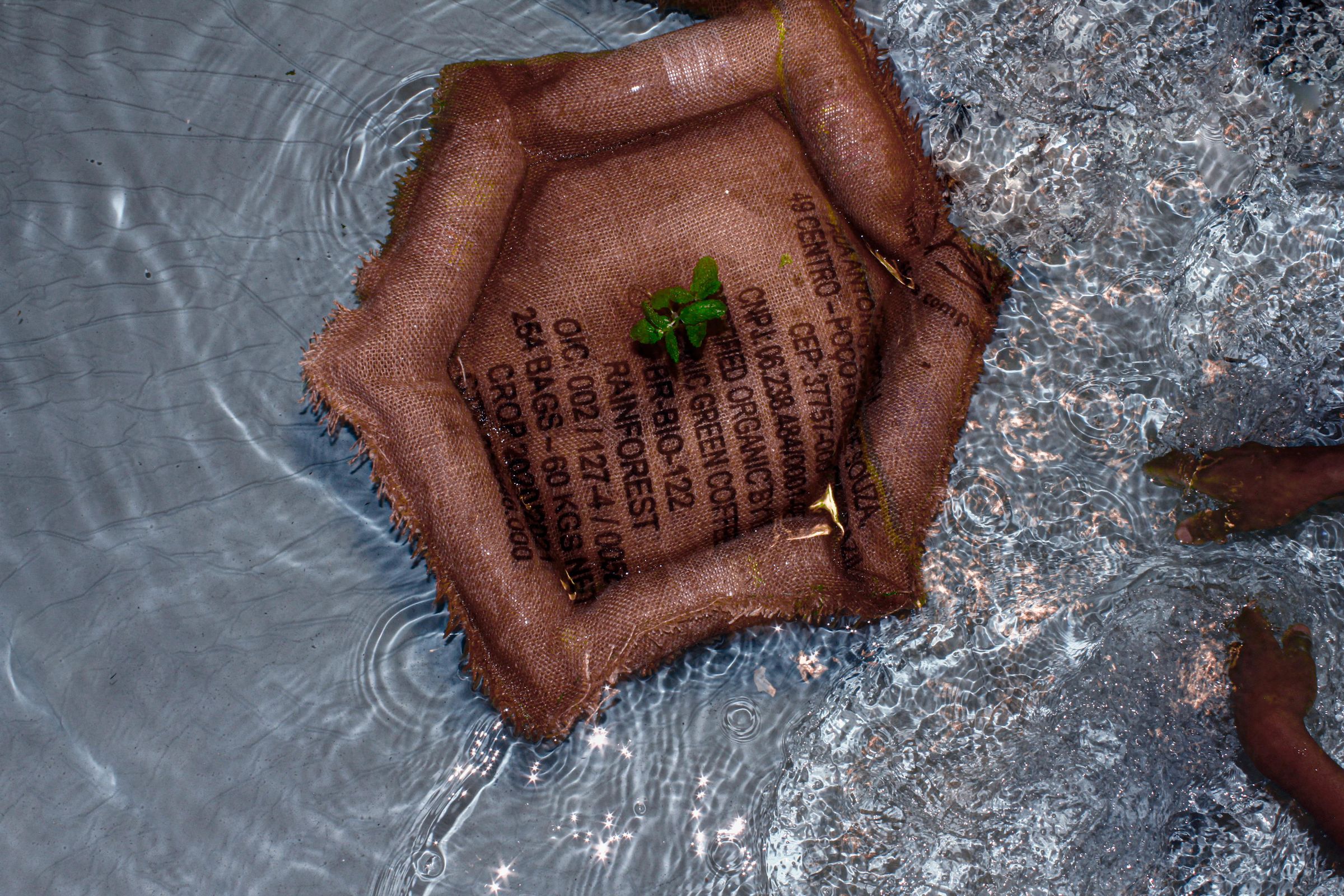 Phytodrift – Floating Treatment Garden
