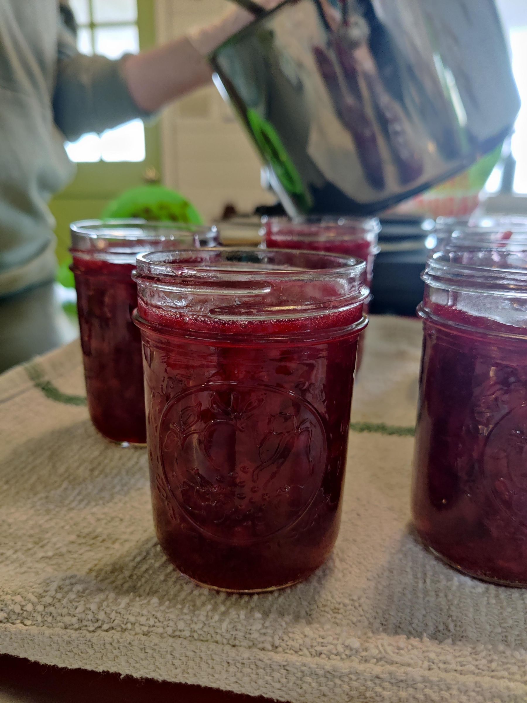 Tart Cherry Jam - Beginner Friendly