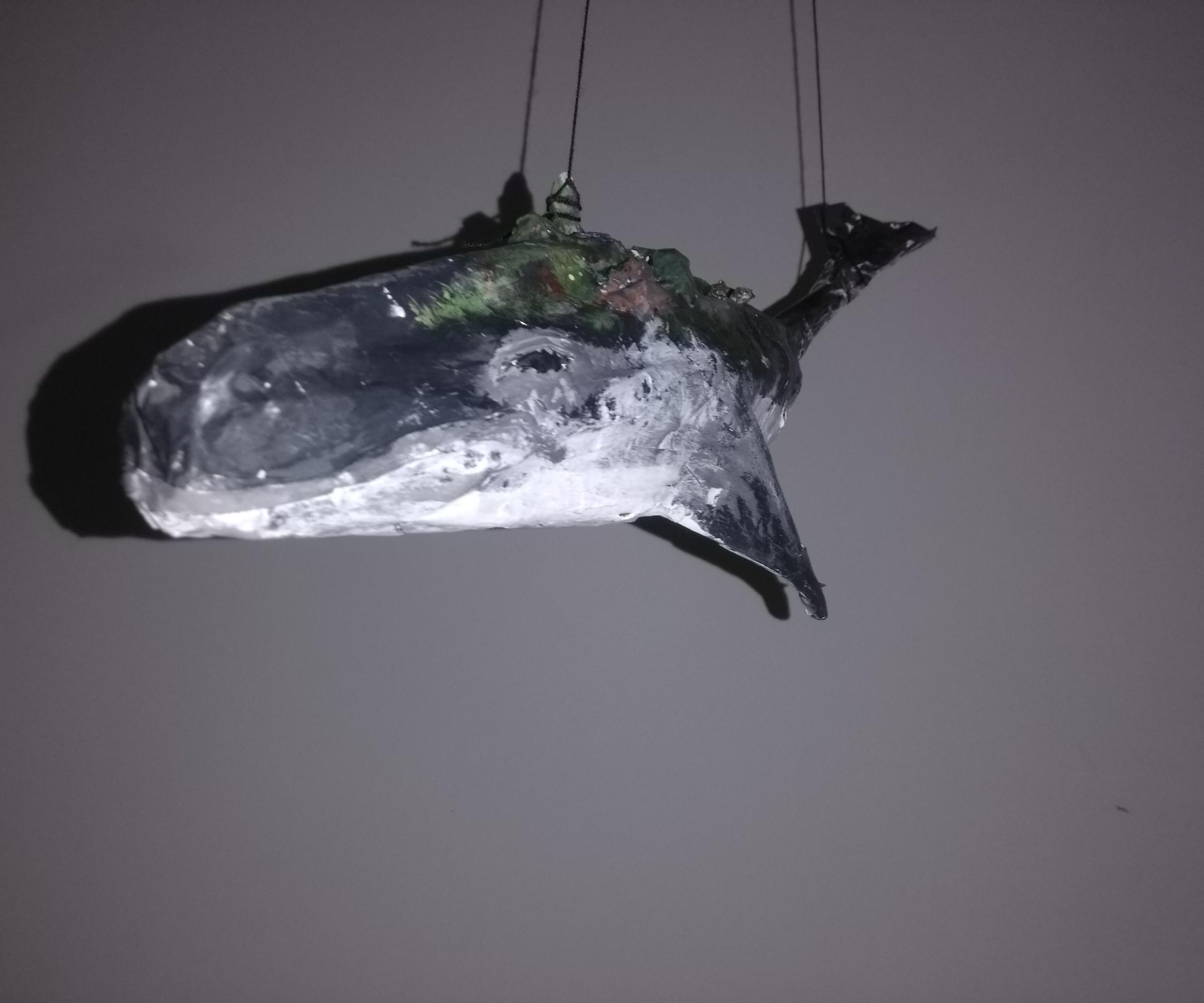 Magic Whale