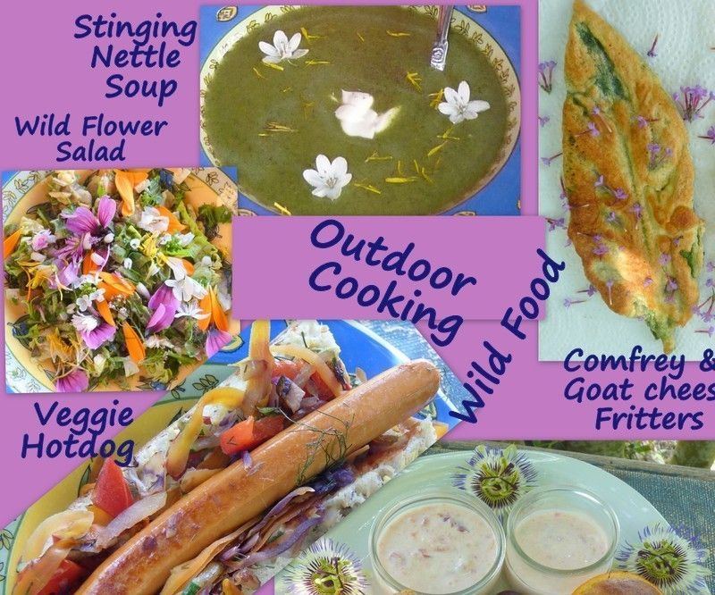 Wild Food Campfire Cooking