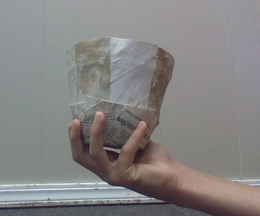 Biodegradable Pot Made From Toilet Paper Rolls and Other Materials