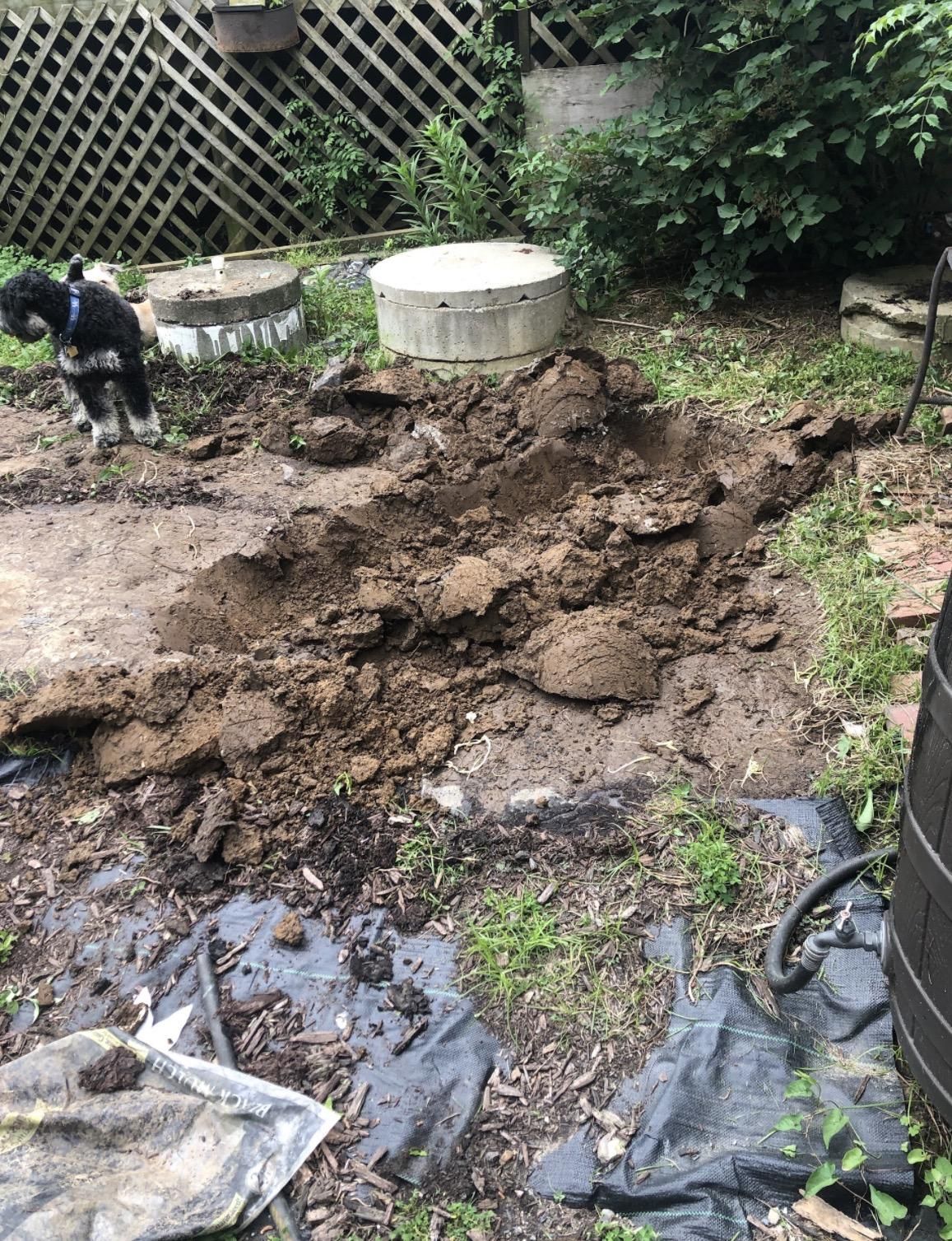 Backyard Garden Pond- You Can Do It!