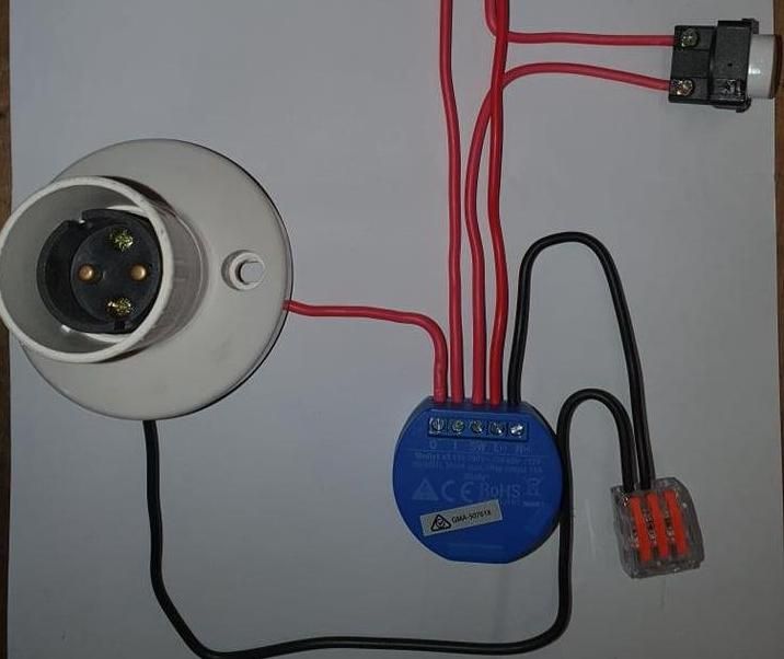 Shelly 1 - a Light Switch & Run Down Timer.