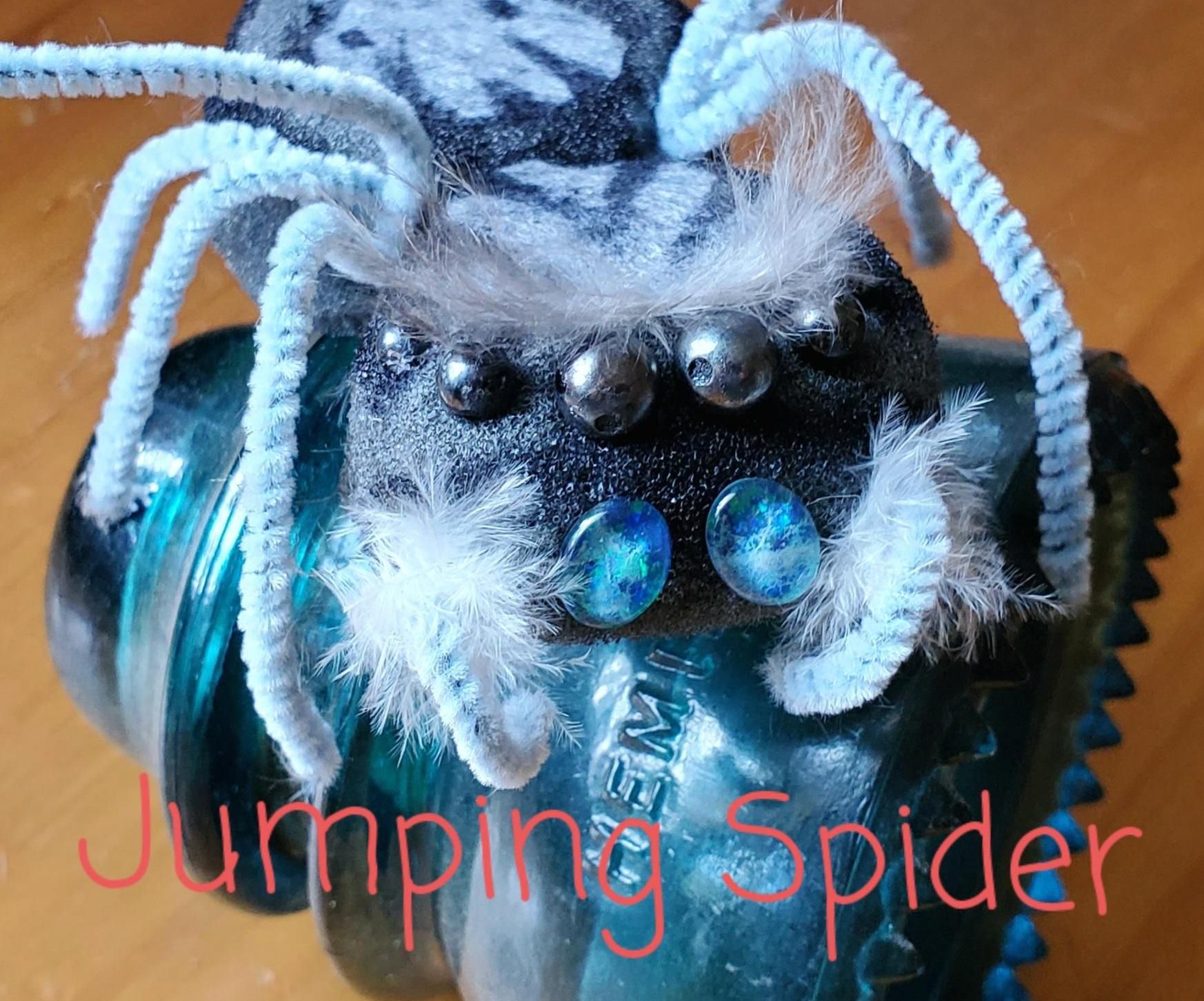Jumping Spider