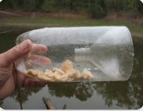 Small Fish Trap