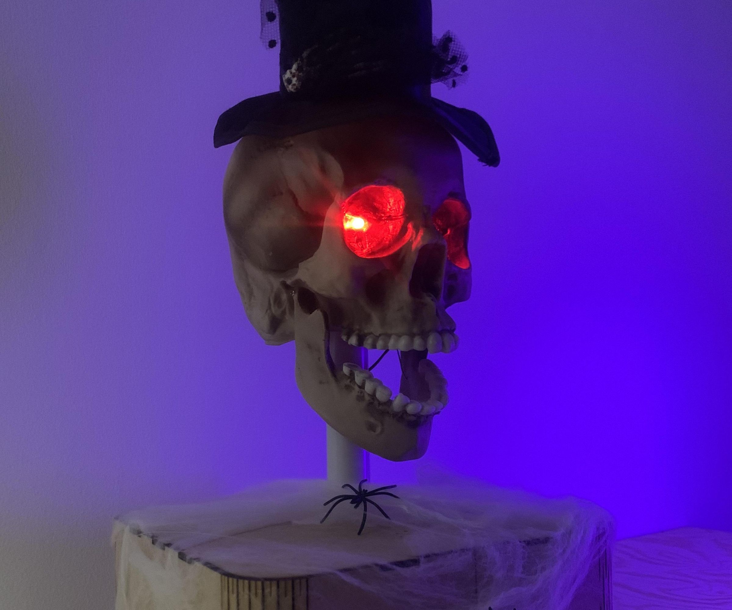 Intruder Scarer, Laughing Skull