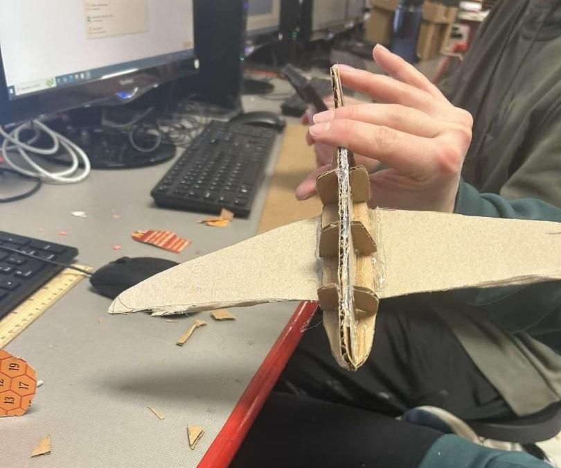 A Cardboard Plane