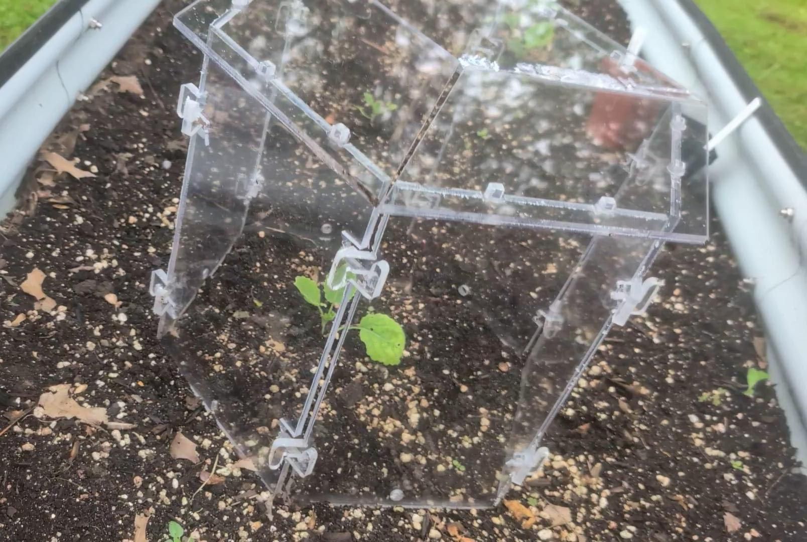 EZ-store Cloche Plant Starter -- Easy Setup, Ventilation, Watering, and Storage