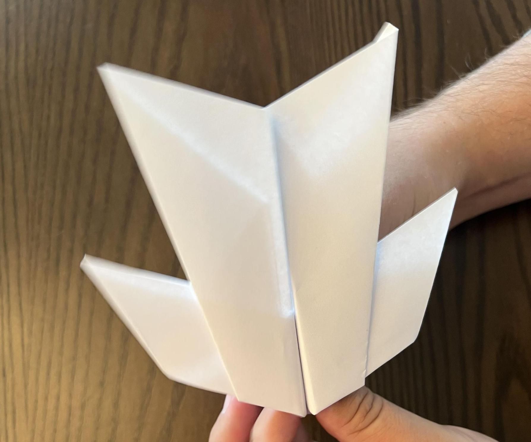 Paper Airplane