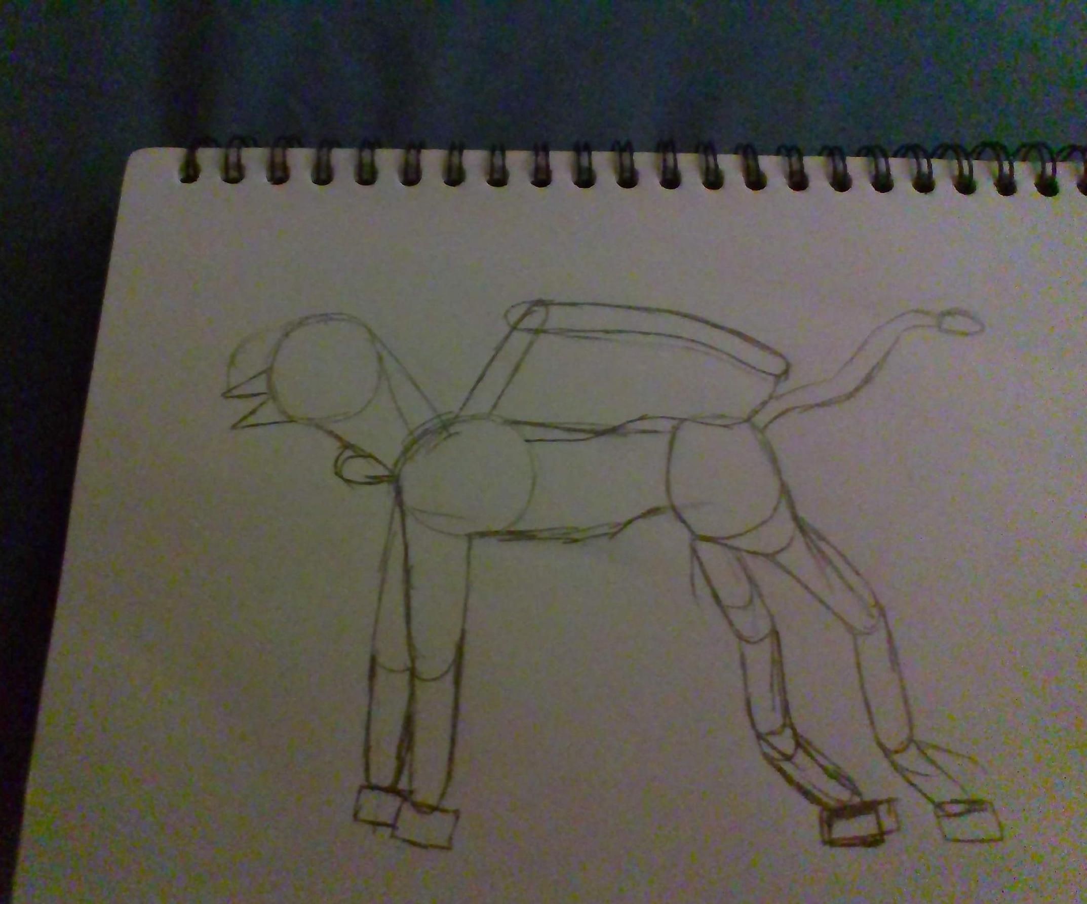 How Draw Very Easy Griffin Anatomy