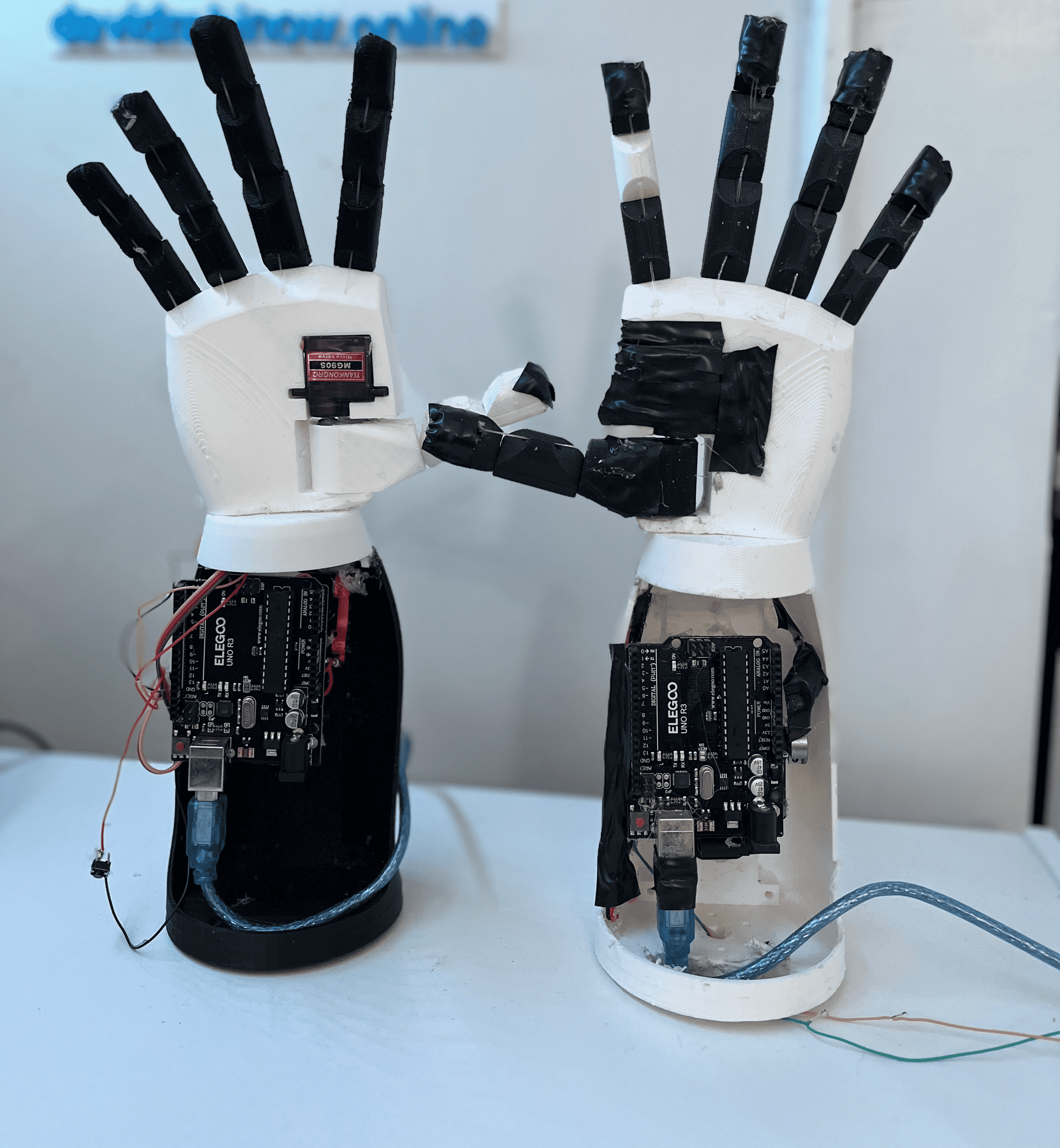 Bionic Arm