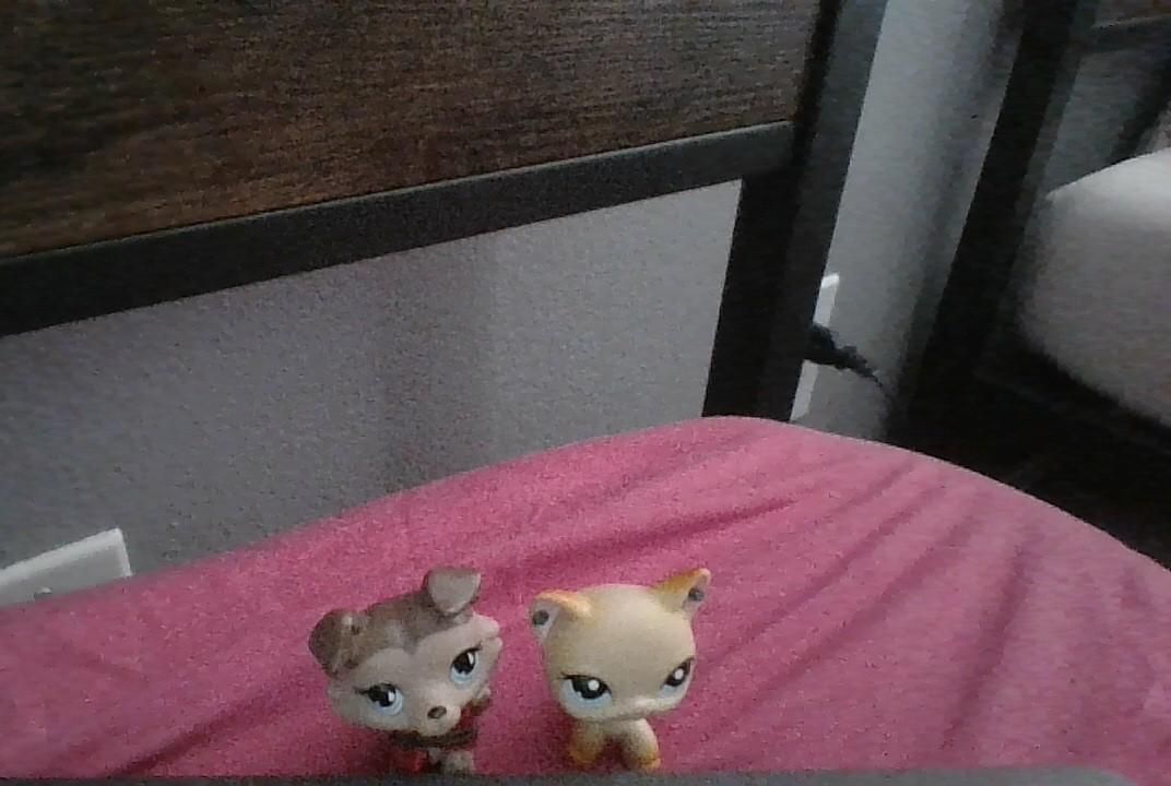 How to Make Lps Shirt or Costume