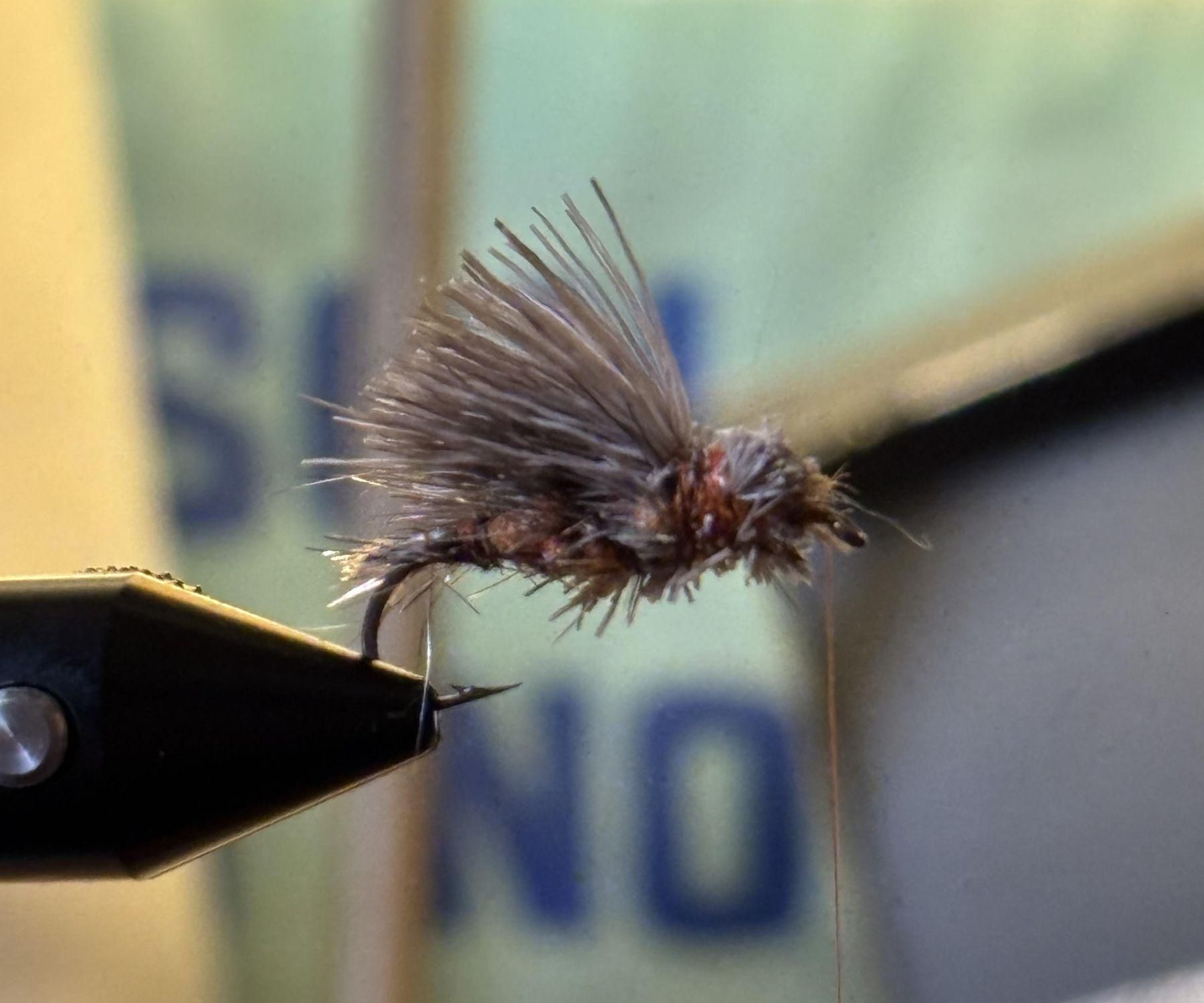 Elk Hair Caddis