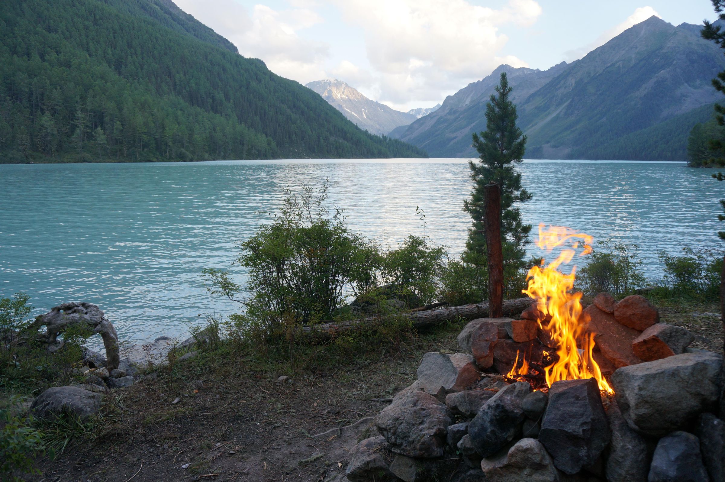 What Makes Campfire Flame Yellow – Carbon Nanoparticles or Sodium Salts? 