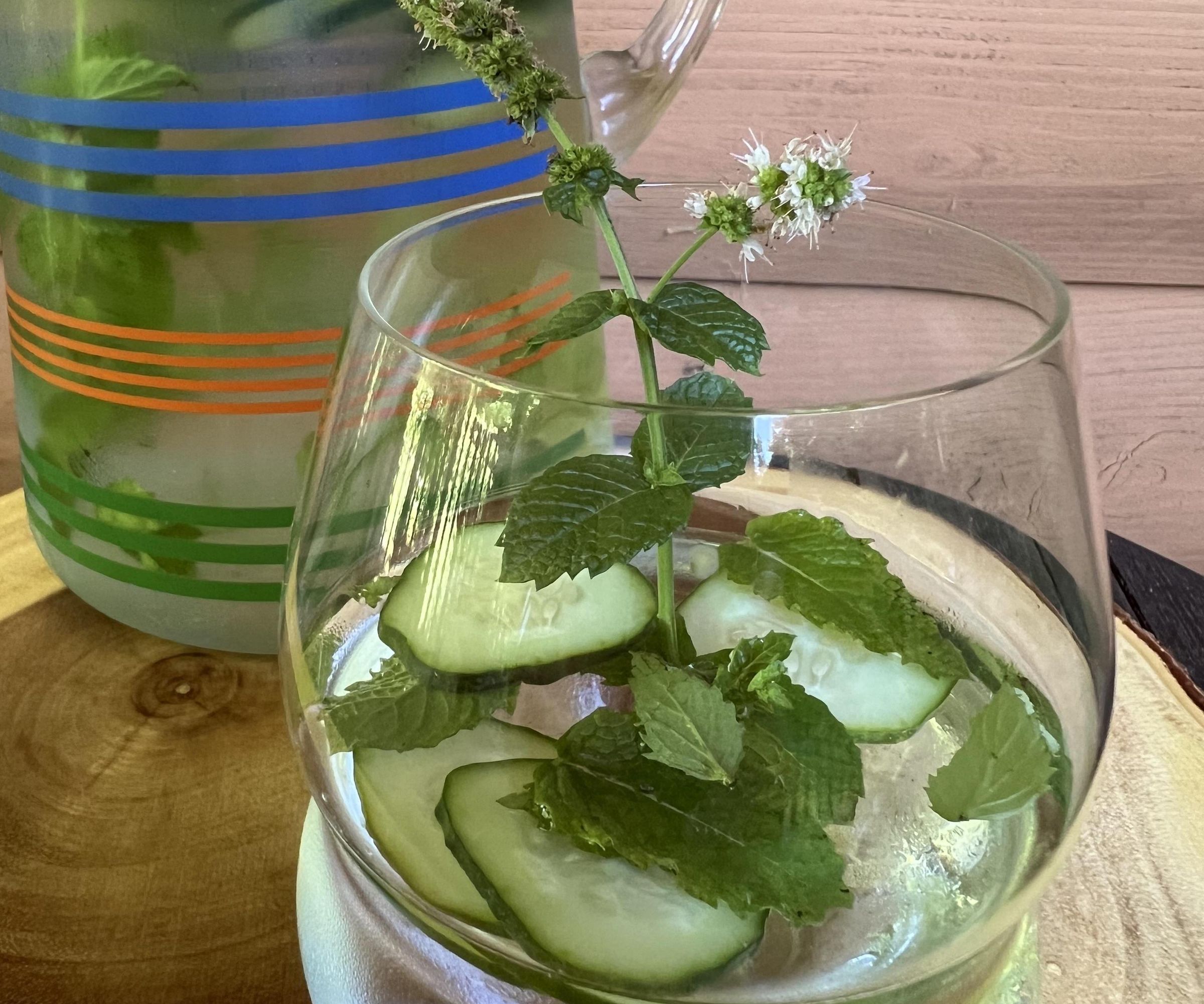 Infused Water