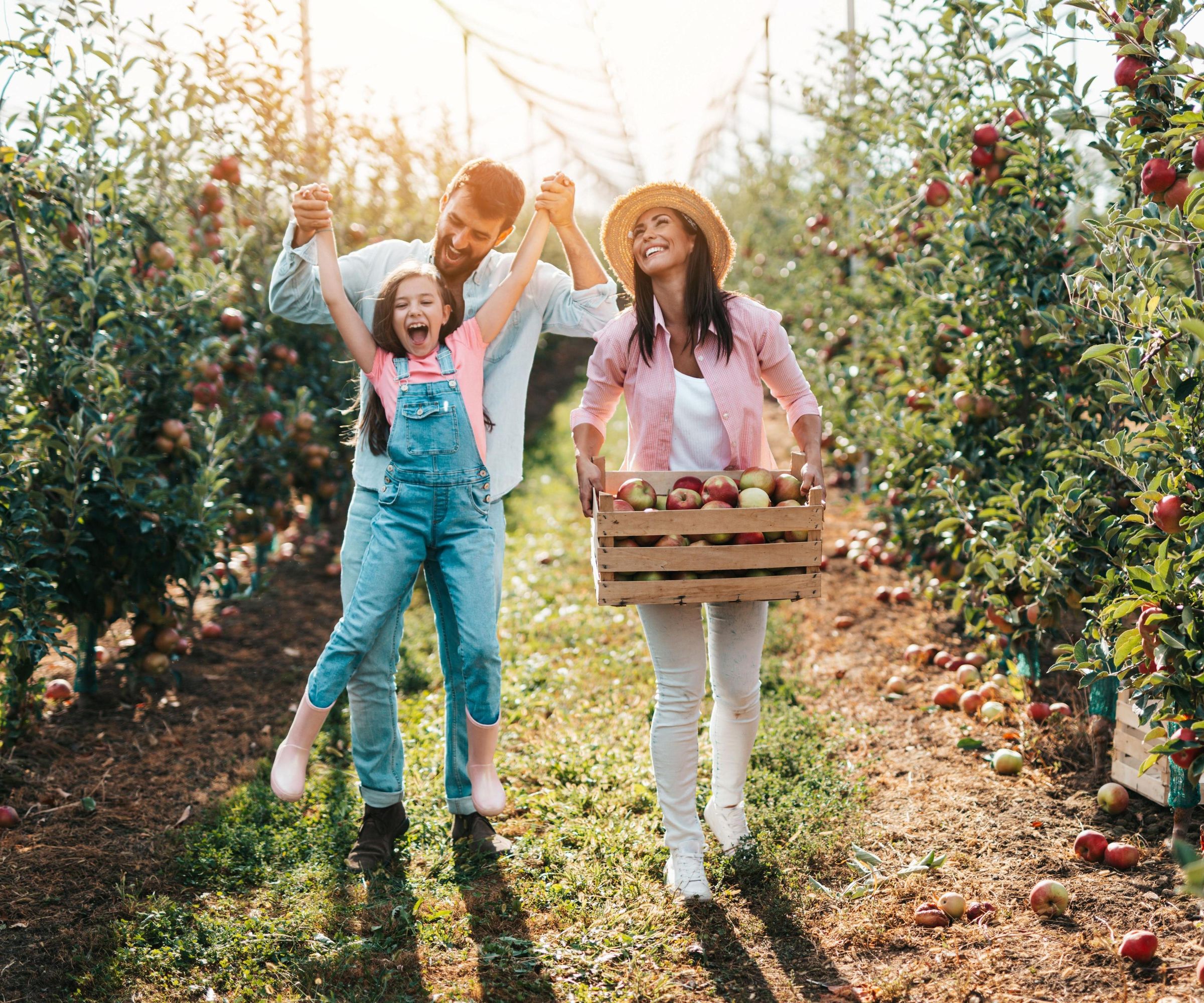 DIY At Home Orchard