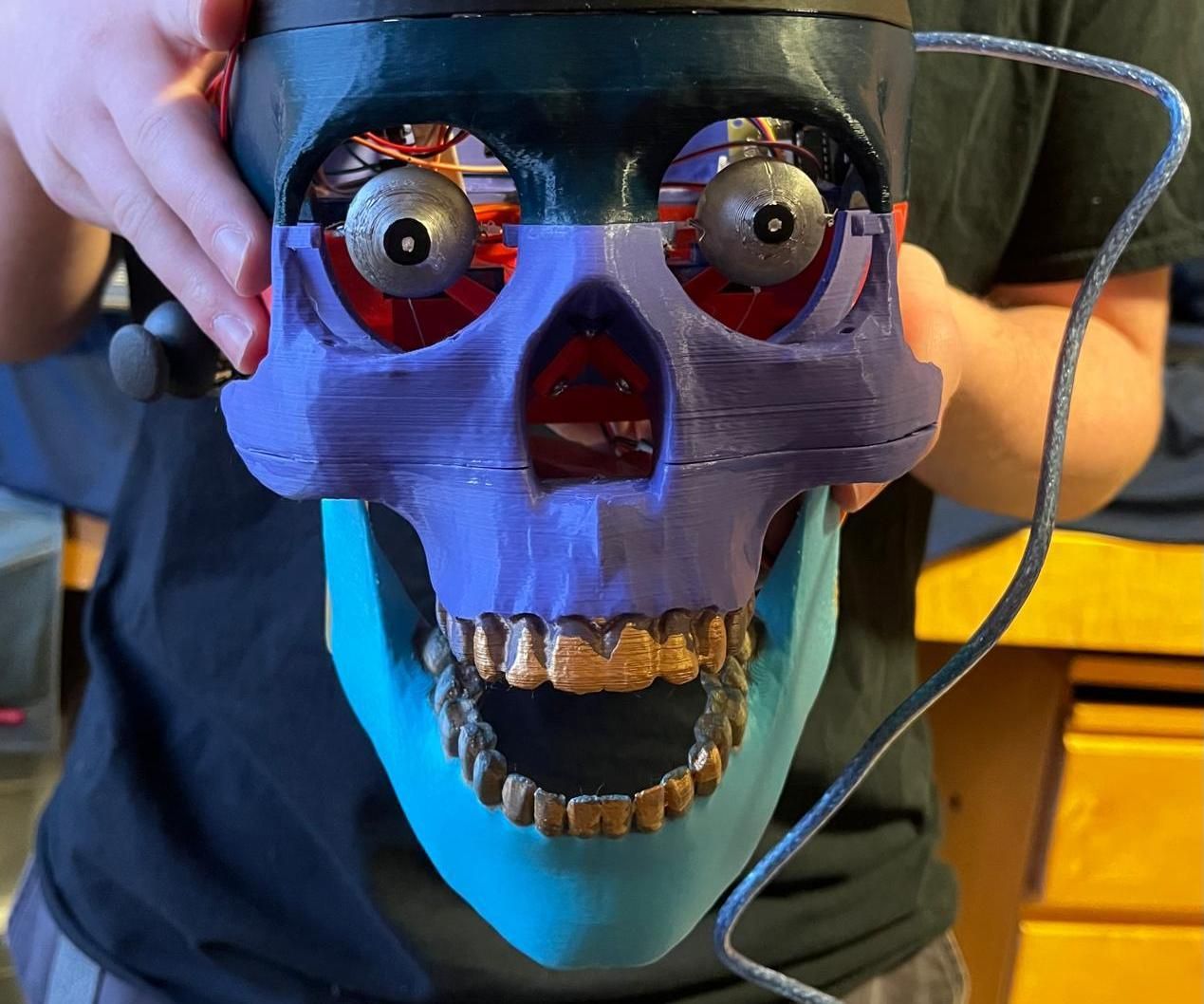 Robotic Skull