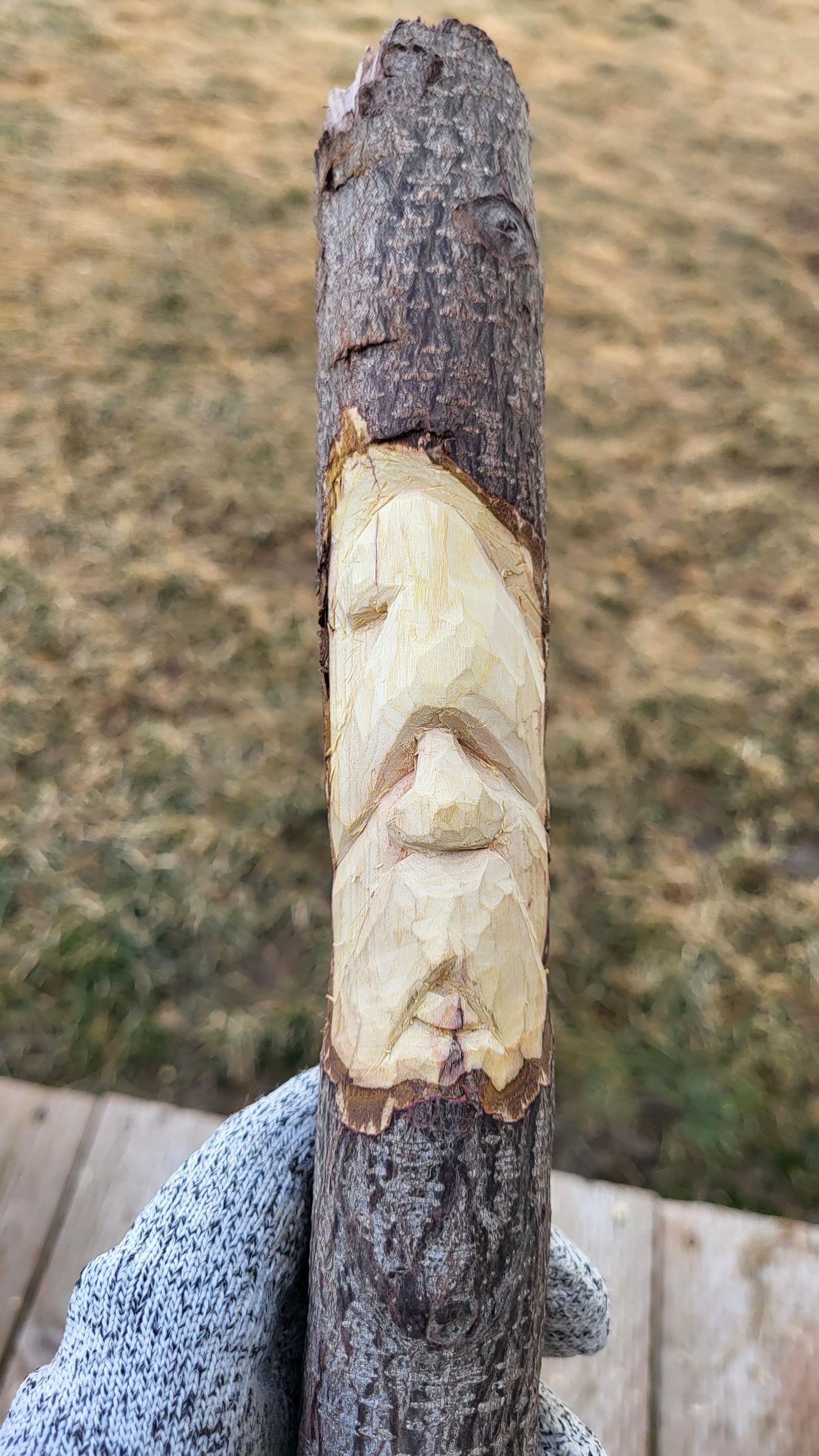 Beginners Wood Spirit