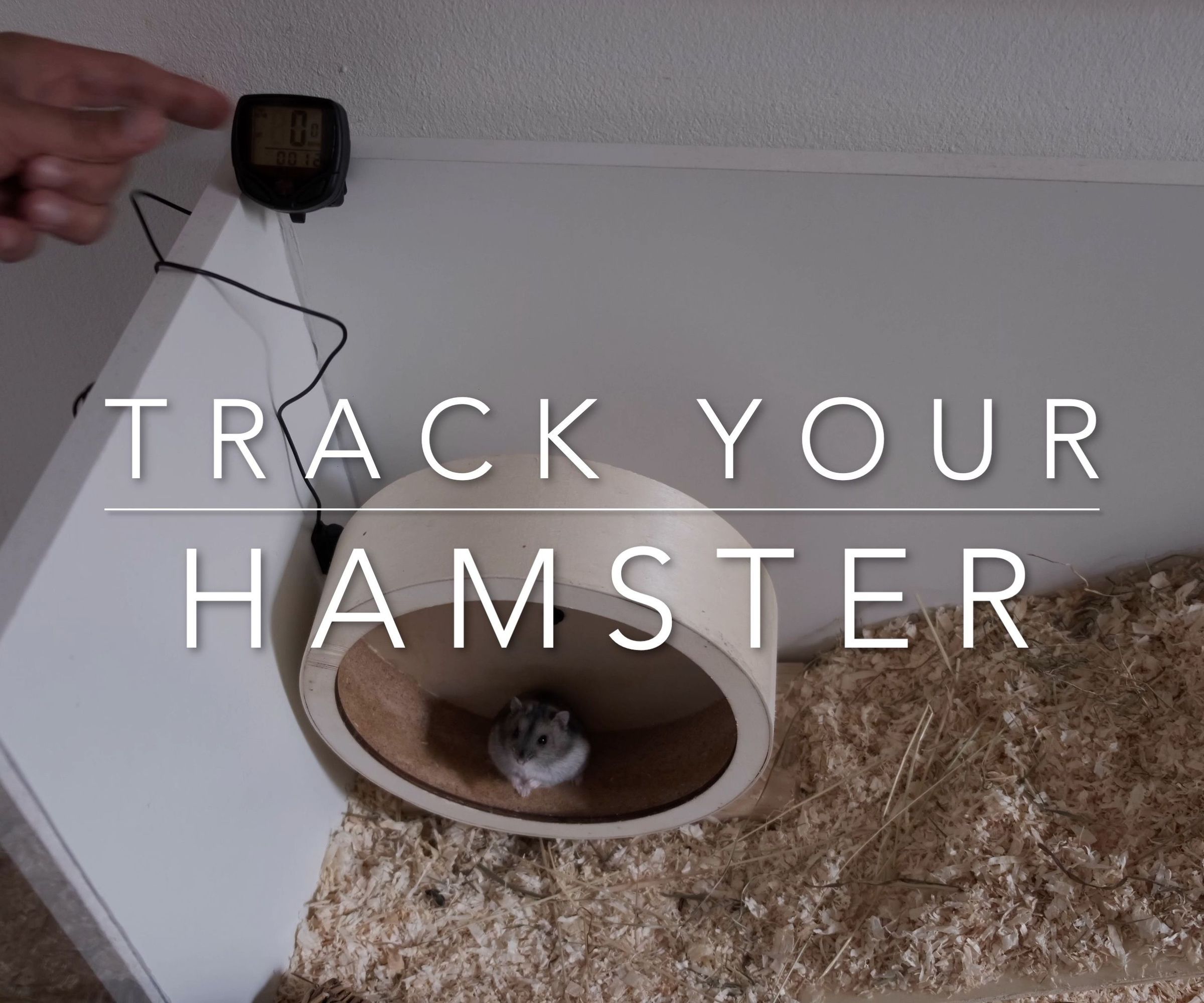How to Track Your Hamster Wheel