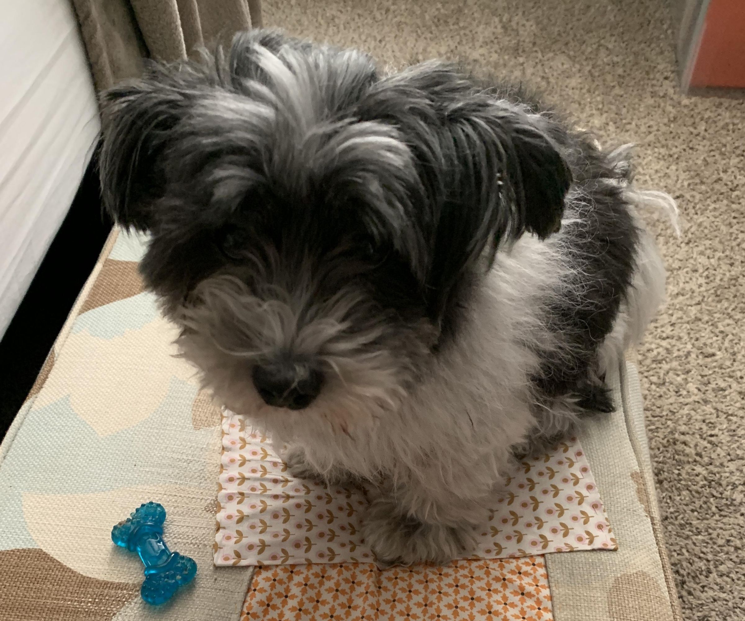 Repair Fabric Ottoman