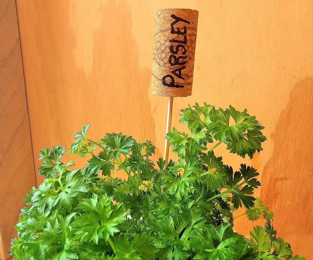 Cork Plant Labels