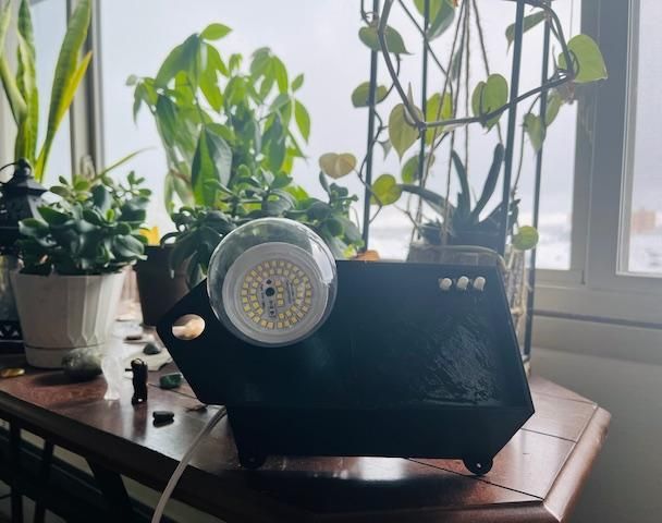 DIY Grow Light