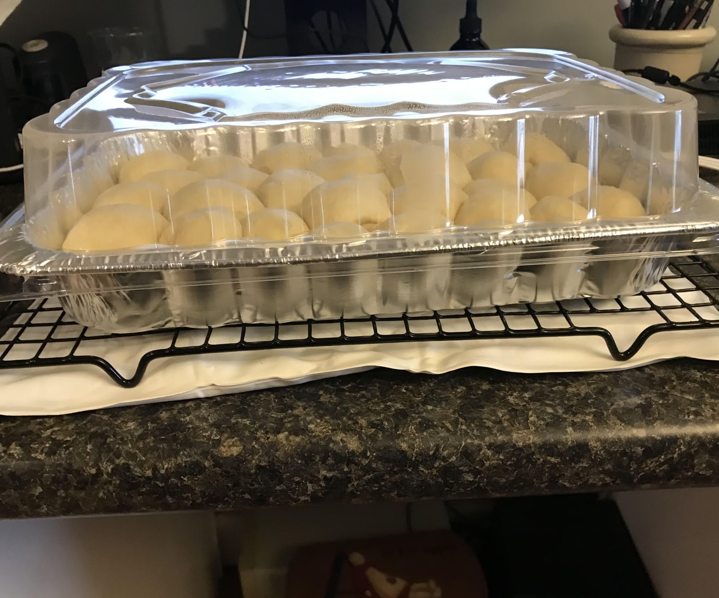 Improvised Bread Proofer