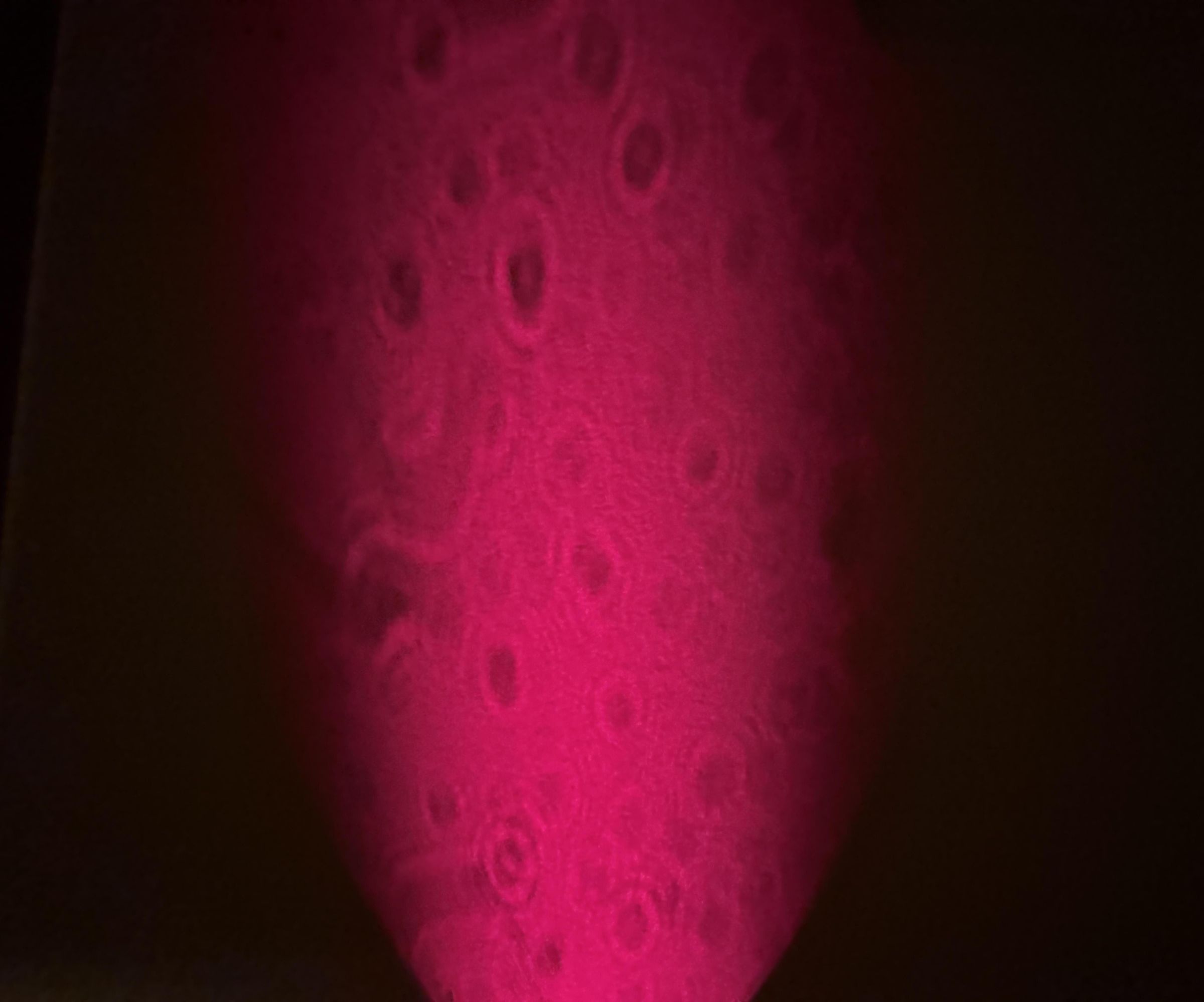 How to Make the Simplest Microscope for Water
