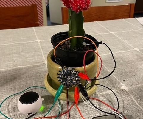 CPB Plant Monitor W/ Handmade Planter
