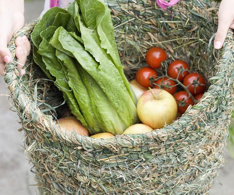 Grass Basket