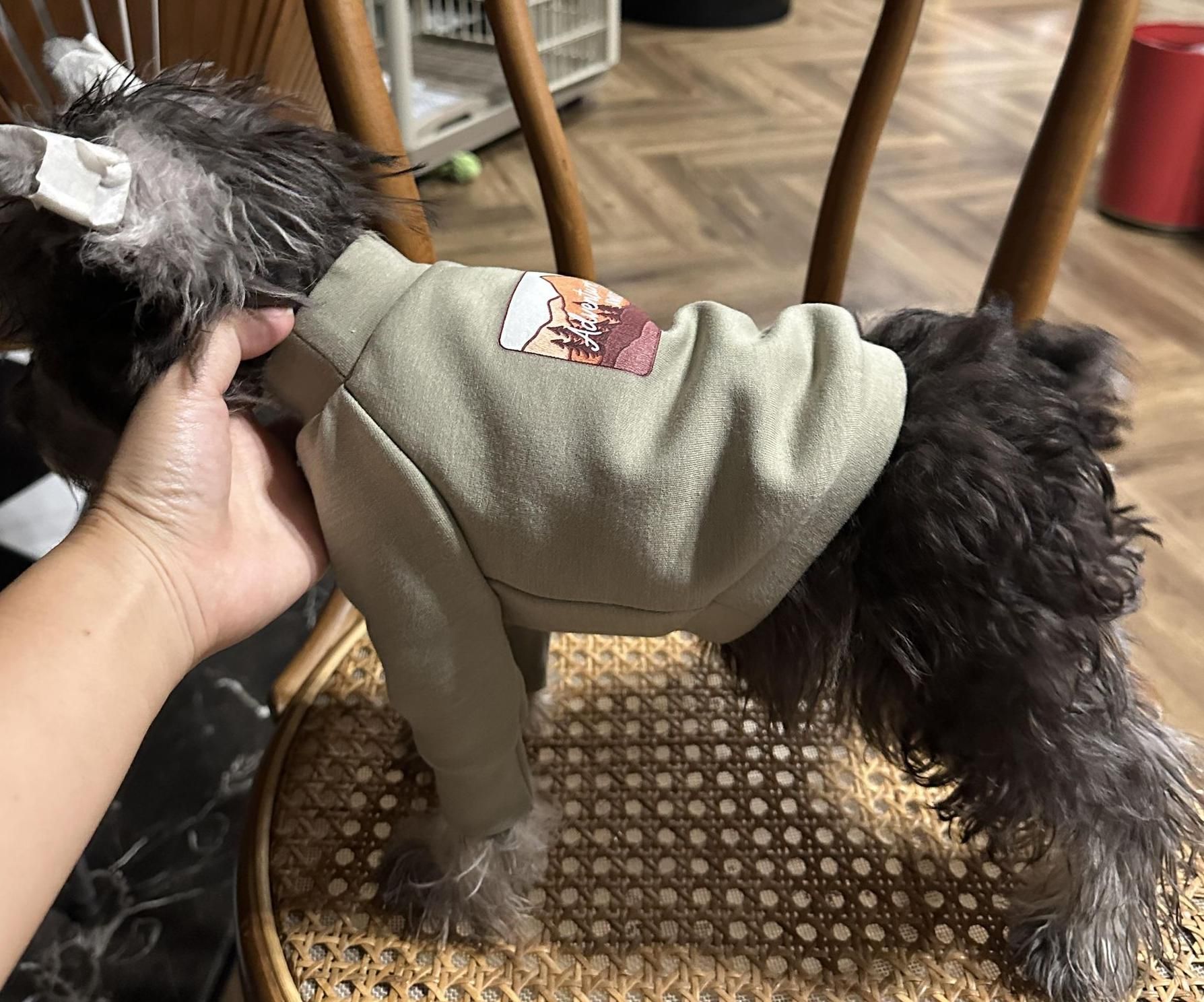 How to Sew a Custom Dog Raglan Sweatshirt