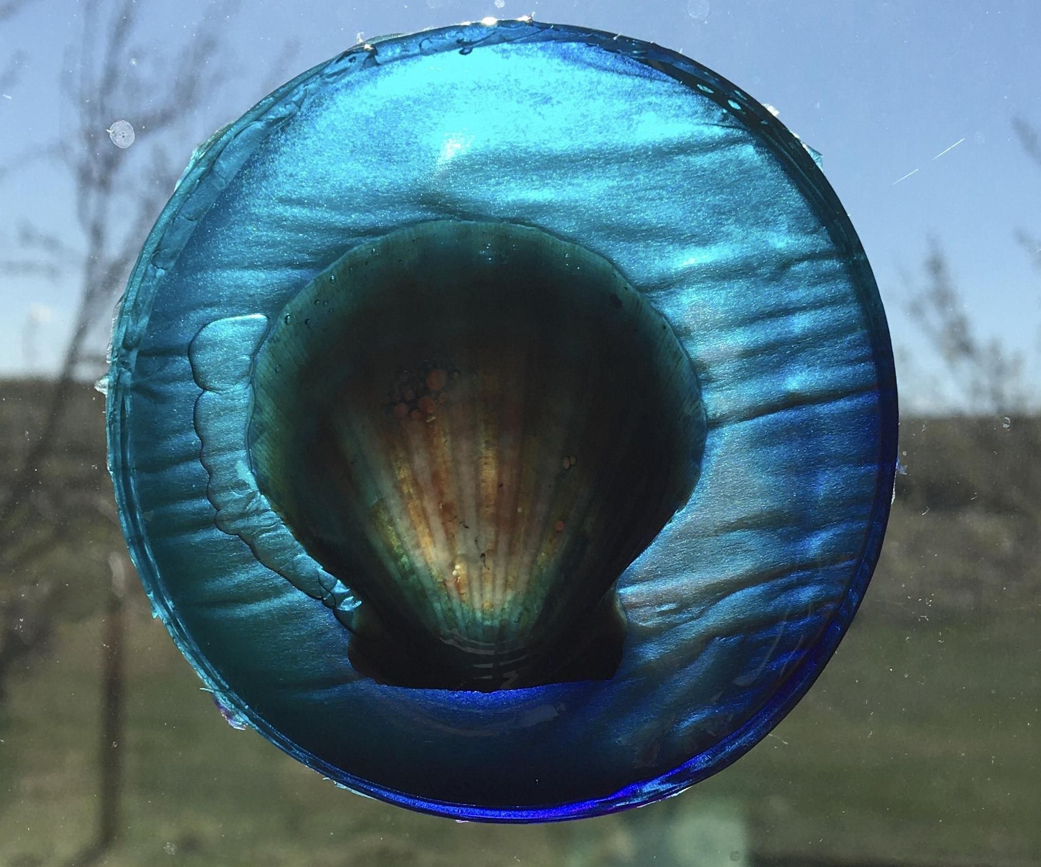 Seashell Sun Catchers
