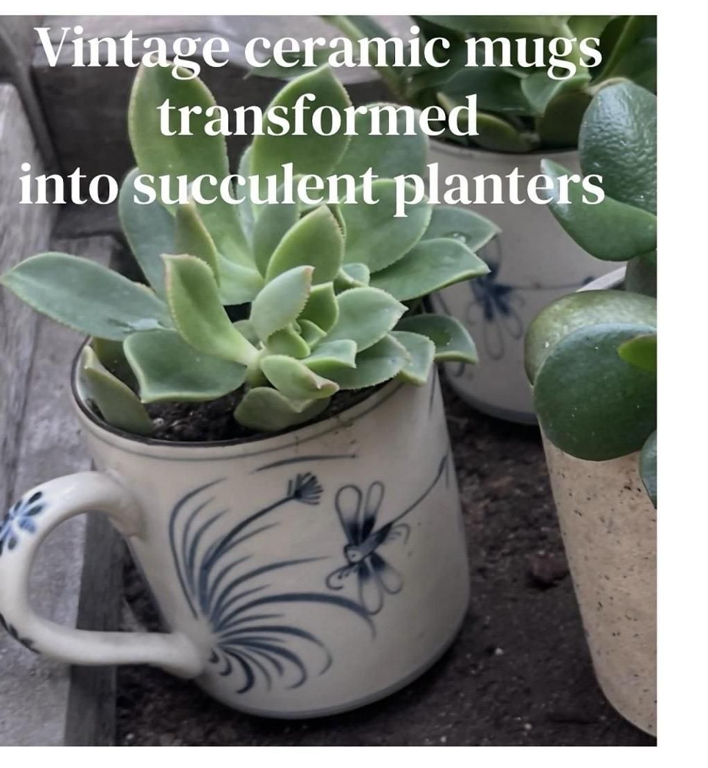 DIY Mug Planters WITH DRAINAGE / Creative Upcycled Reuse