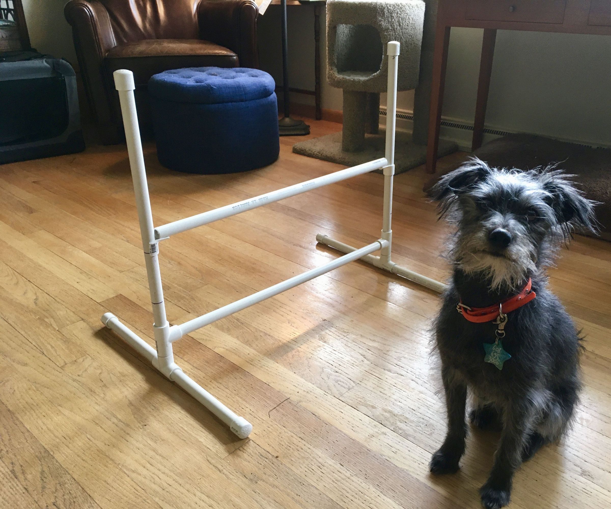 Build a Small Agility Jump