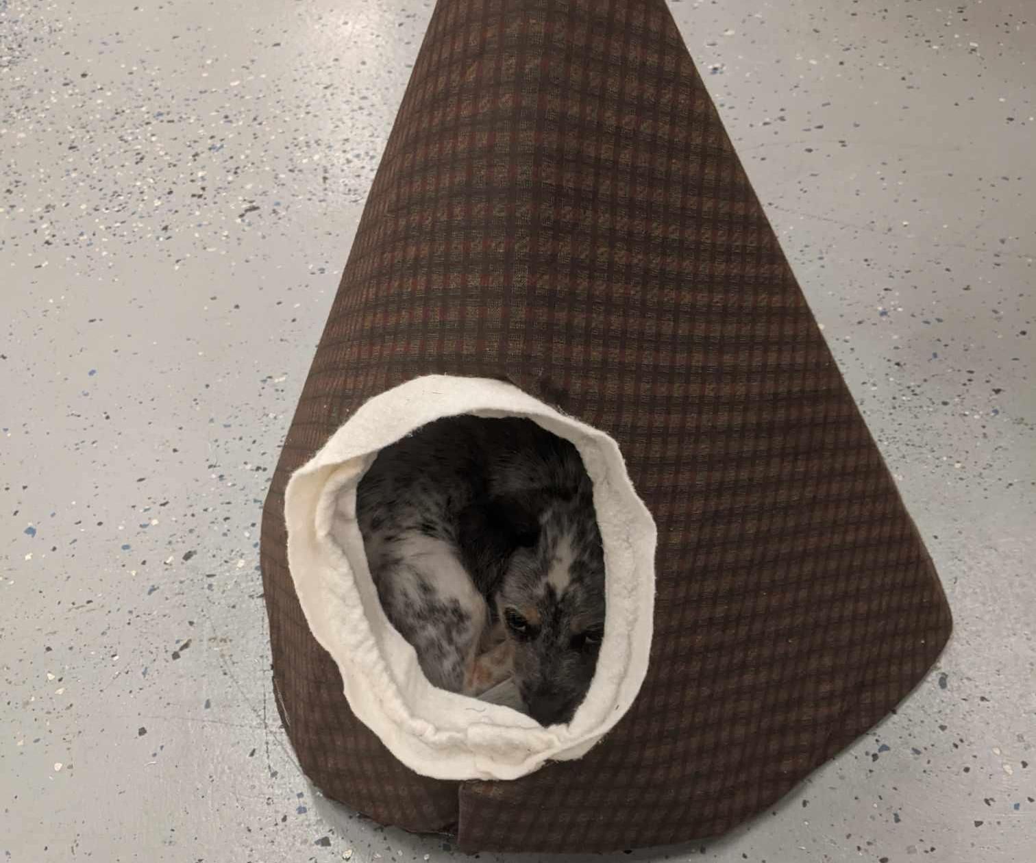 Cone Shaped Dog Cave/Bed